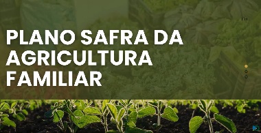 Ministério do Desenvolvimento e Assistência Social, Família e Combate à Fome (PLANO SAFRA)